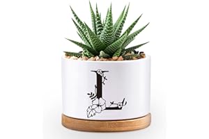 AROSEDMO Personalized Initial Letter Planter Gifts for Women, Monogram Succulent Plant Pot, Funny Alphabet Flower Pots for Desk Decor, Monogrammed Gifts for Women Friends Mom Wife Coworkers Teacher (L)