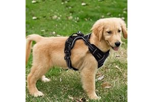 Dazone Harnais Chien Anti Traction Réfléchissant Réglable en Oxford Respirant Durable Noir pour Chien Gros, Grande, Moyen, Petite Taille avec Poignée Contrôle et Deux Boucles de Sécurité