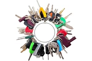 DHEISHA 60PCS Plant Ignition Switch Starter Key, Constrtution Machinery Operator Key for Kubota JCB CAT Yanmar Backhoes Excavators Forklifts Loaders Tractors Bullozers and Other Construction Equipments