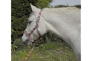 Rhinegold Carnival Headcollar & Matching Rope Set