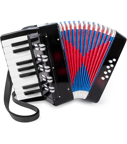 Hohner Bravo III Piano Accordion, 72 Bass, Black : Amazon.in