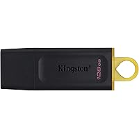 Kingston DataTraveler Exodia DTX/128GB Flash Drive USB 3.2 Gen 1 - con cappuccio protettivo e anello portachiavi in colori mu