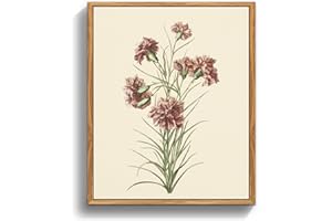 MHARTK66 Quadri Vintage Botanico Soggiorno con Cornice Legno, 20x25 cm Stampe da Parete Rosa Garofano Erbe Botanica, Quadro Camera da Letto Su Tela Decorazioni Parete Desktop Arte Bagno Ufficio