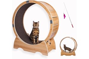 ODOXIA Ruota Per Gatti Per L'esercizio Fisico - Il Tapis Roulant Definitivo - Arredo Per Gatti Divertente Per Il Vostro Amico Felino - Accessori - Ruota Per L'esercizio Fisico