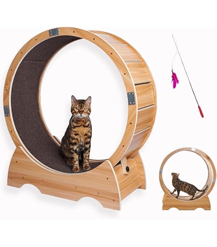Stille Kat-Oefenwiel, Natuurlijke Houtkleur, Kattenkrabsportspeelgoed Voor Kitty'S Langere Levensduur, Kattenloopband Met Veiligheidsslotpin Stille Kat-Oefenwiel, Natuurlijke Houtkleur, Kattenkrabsportspeelgoed Voor Kitty'S Langere Levensduur, Kattenloopband Met Veiligheidsslotpin