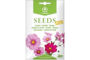 Cosmos, Graines prêt à Pousser Minigarden, 100% Naturelles sans Propagateurs Chimiques ni Génie Génétique, inclut Entre 120 et 160 graines