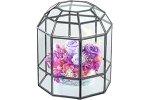 NCYP Terrarium géométrique en verre pour plantes grasses et cactus - 16,8 x 16,8 x 20,5 cm - Pot de fleurs en forme de dôme fermé - Pour intérieur - Noir (terrarium uniquement)