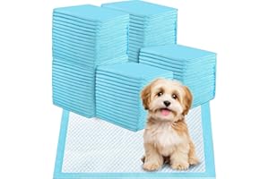 Jukibole Hunde Trainingspads 60x60cm – 100 Stück Einweg Unterlagen, 6-lagige PIPI Matten für Welpen & Hunde, Ultra Saugfähig, Auslaufsicher & Geruchsneutral, Blau, Baby Einweg Wickelunterlagen