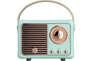 Caulikine Tragbarer Kabelloser Mini Bluetooth Lautsprecher Zimmer Deko mit Freisprechfunktion für Handy und Mikro-SD und USB Deko Schlafzimmer Geschenke Junge 8 Jahre Frauen Geburtstagsgeschenk(Blau)