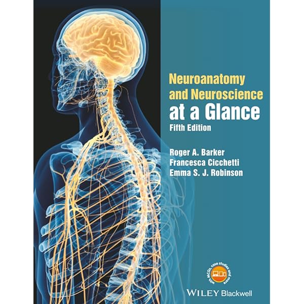 Clinical Neurology and Neuroanatomy: A Localization-Based Approach