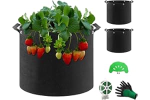 QCR Tomaten kübel, 3 Stück 12 L Pflanztasche Pflanzsack mit Griffe und Multifunktionsösen, Vliesstoff Pflanzgefäß Pflanzbeutel Wachstumstasche für Balkon, Gewächshaus, Garten, 12 Liter (D25 x H22)