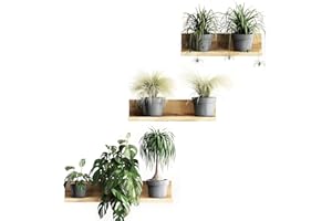 HOAAIGO Wandsticker Pflanzen Wandtattoo Groß 3D Wandtattoo Pflanzen Grün Selbstklebend für Wohnzimmer, Wanddekoration Topfpflanze Wandaufkleber für Schlafzimmer Wohnzimmer Kinderzimmer Küche Büro Flur (B)