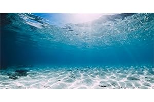 MIRRORANG 120x46cm Fond d'aquarium de Fond d'océan sous-Marin de Vinyle Durable Fond de réservoir Tropical
