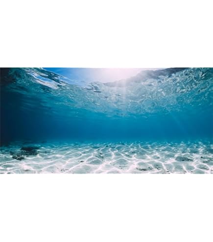 Sfondo Per Acquario Vinile 61x30cm - Design Alghe Fiume Per Decorazione - Foto 2