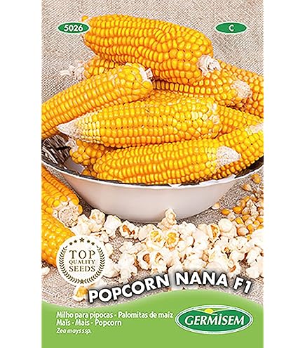Semi Di Mais Per Popcorn Battle - Confezione Da 180cm - Foto 9