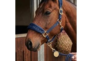 Pro Rider Horse Halter and Lead Rope Set, Navy Blue, Fleece Padded, Multiple Adjustments, COB Size