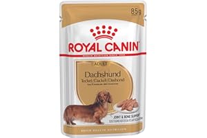 Royal Canin Dachshund Adult Mousse | 12 x 85 g | Alimento completo para perros | Para dachshunds adultos | Puede ayudar a proteger los huesos y las articulaciones