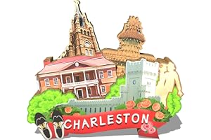 USA Charleston magnet kylskåp USA Charleston Landmark USA Charleston samlarobjekt souvenirer kylskåpsmagneter resor souvenire