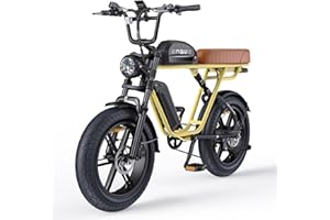 ENGWE M20/M1 Bici Elettrica Uomo, 150KM/75KM 90KM/170KM,Autonomia Sistema con 20"×4.0 Fat Tire,48V 26AH/13AH/15.6AH/28.6AH E-bike Off-roade Cambio 7 Velocità e Sospensione Completa