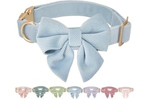 Petiry Bow Dog Collar with Comfortable Lining Adjustable Durable Pet Collars for for Medium Dogs Neck 31-49cm,Light Blue
