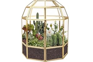 Homtone Grand Pot de Fleurs géométrique de 23,4 cm, en Forme de Maison, boîte en Verre Faite à la Main, Pot de Fleurs Miniature de Table Vintage pour Plantes Grasses (Forme de Cage à Oiseaux dorée)