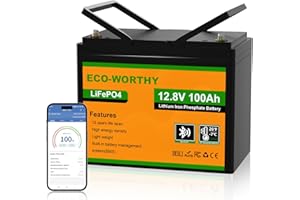 ECO-WORTHY Bateria LiFePO4 Bluetooth, bateria litio12v 100Ah, con protección contra Baja Temperatura, BMS Inteligente, 1280 WH de energía, para caravanas, autocaravanas, Pesca con caña y demás