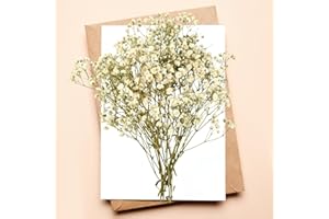 RUGBOL Flores secas de gypsophila, Flores secas de gypsophila Blanca para Manualidades, Scrapbooking de Resina, joyería, Decoraciones Florales