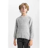 DeFacto B7822a8 Sweatshirt Erkek &ccedil;ocuk