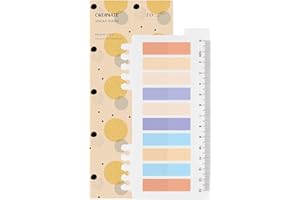 ORDINATE 200 pièces d'onglets de notes autocollantes, style gris, marqueurs de page autocollants pastel descriptibles, bandes adhésives avec règle pour marquage de page, signets (H-Peach Fizz)