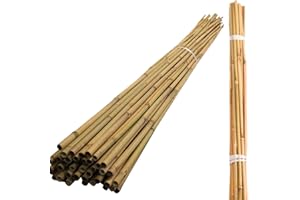 LIZAA 5FT 6FT 7FT Bamboo Garden Canes Heavy Duty for Plant Flower Vegetable Support Strong Professional Garden Stakes Thick Cane Sticks (20, 7FT)