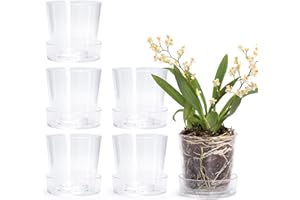 Phoenix Vine 3.5 Inch Clear Acrylic Planter Pot with Tray, Orchid Pot with Drainage Holes, Deep Saucer for Bottom Watering, Transparent Containers for Indoor Plants, Herbs, Set of 6, 91-A-D-6