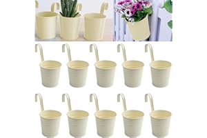 Roellgs Maceta colgante metálica de 4 pulgadas para interiores, 10 cubos redondos de hierro con ganchos desmontables y agujeros de drenaje