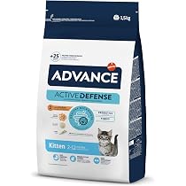 Royal Canin Comida para gatos Babycat 2 Kg : Amazon.es: Productos ...