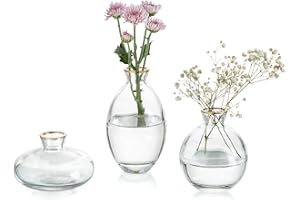 Glasseam Vaso Piccolo per La Decorazione A Mano Vetri Fatti da Tavolo Vasi per Fiori, 3Pcs Oro Rim Vintage Bud Vases Aestetic Mini Vase Set per Kawaii Camera da Letto