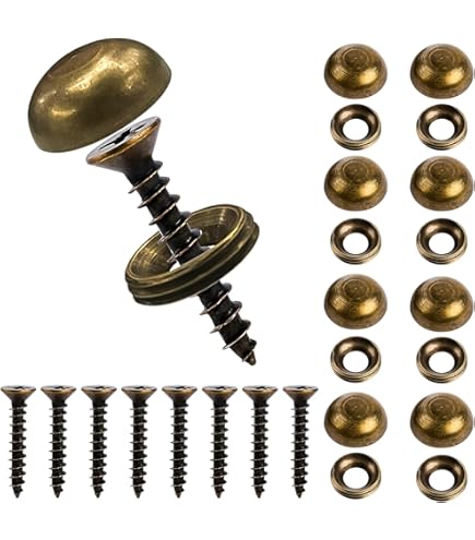 20 Pcs Cache Vis En Acier Inox Cache Vis Decoratif Antirouille Vis à Miroir Avec Joint