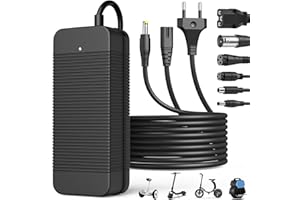 SPORVET Chargeur Trotinette Electrique, 42V 2A Chargeur Hoverboard avec 6 Connecteurs, 36V Universel Trottinette Batterie Chargeur pour Scooter Électrique, Planche à Dérive, Monocycle, Xiaomi M365/Pro 2