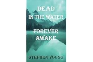 Dead in The Water; Forever Awake.: The True, Mysterious, and Unexplained Story of the Drowning Young Men.