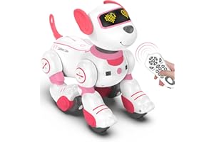 Luyiilo Roboter Hund für Kinder, Interaktives Stunt Roboterhund Spielzeug Programmierbarer Ferngesteuertes Welpe, Intelligentes Spielzeughund für Kinder Geschenk