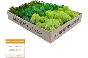 GJS Islandmoos Bastelbox 150 g – echtes, konserviertes Moos in DREI Farben für Deko & DIY – Ideal für Modellbau, Pflanzen-Bilder, Kunst, Osterdeko, Krippe, künstlicher Adventskranz