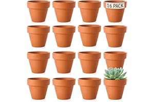 Green Thumbz Terracotta Plant Pots - 5cm x 16 Pack Small Plant Pots - Multi Purpose Mini Terracotta Pots for Plants, Flowers, Candle Making, and Painted Art