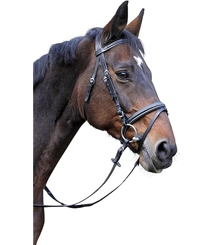 Briglia Per Hobby Horse HKM SPORTS - Con Frontalino Intercambiabile, Senza Morso, In Similpelle - Foto 11