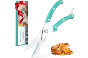 HAUSHOF Geflügelschere 255 mm, robuste scharfe Küchenschere aus Edelstahl, Fleischschere für Fleisch, Huhn, Fisch, Knochen, Gemüse