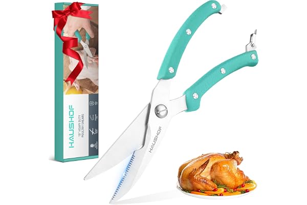 HAUSHOF Ciseaux à Volaille Robustes 255 mm, Ciseaux de Cuisine Professionnels en Acier Inoxydable Robustes et Tranchants pour Poulet, Viande, Poisson, Os et Légumes