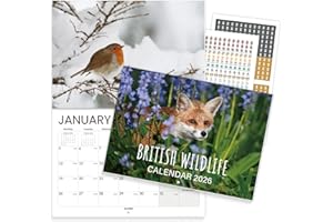 SUNEE British Wildlife Calendar 2026 UK, 12 Months A4 Folded to A3 Wall Calendar, Month to View Family Planner with UK Holidays & Countdown, Ideal for Home, Office or Gift