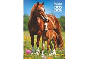 Agenda scolaire Cheval 2025-2026 Journalier 1 jour par page Petit format 12x17 Fille - Chevaux équitation: Primaire (CM1, CM2), collège, lycée - Original - Animaux, poulain - 1 page par jour