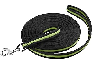 START ENJOY THE RIDE Start Longe Cheval 8 m en Nylon Durable avec dragonne antidérapante + Mousqueton Solide – Contrôle Total & Confort pour Dressage et Travail au Sol (Noir/Vert Pomme)