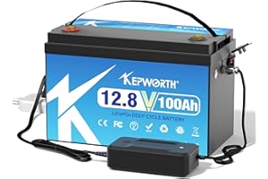 DEESPAEK Batteria al Litio da 100 Ah 12 V, LiFePO4 Batterie a ciclo profondo,1280Wh, Ricaricabile con Energia Solare, Perfetta per Sistemi Off-grid/Fotovoltaico/Camper