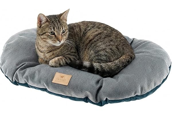 Ferplast Stuart Coussin Double-Face/Tweed/Velours Doux/Lavable pour Chien/Chat Bleu 55/4 1 Unité