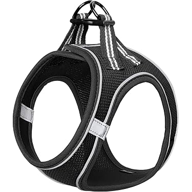 Laisse Pour Chien Extensible – 1,8m à 9m, Poignée Confort En Silicone, Réfléchissante Et Anti-nœuds
