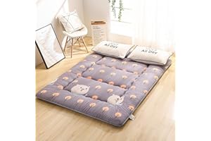 HXOITY Colchoneta Japonesa Para Dormir Verano 10cm Grosor Colchoneta Plegable Enrollable El Suelo Sofá Cama Doble Dormir Colchón Futón Suave Tapete Tatami ( Color : A , Size : 100 x 200 cm(39 x 79 inches) )
